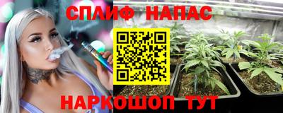 не бодяженный Владимир