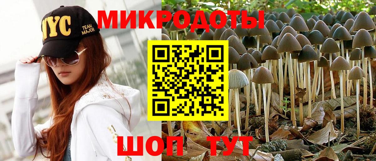 Павлово  Псилоцибиновые грибы Psilocybe  купить наркотик  Вход с VPN 