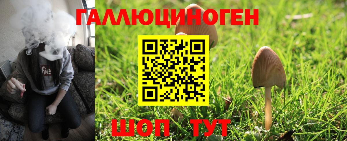 Псилоцибиновые грибы прущие грибы Павлово